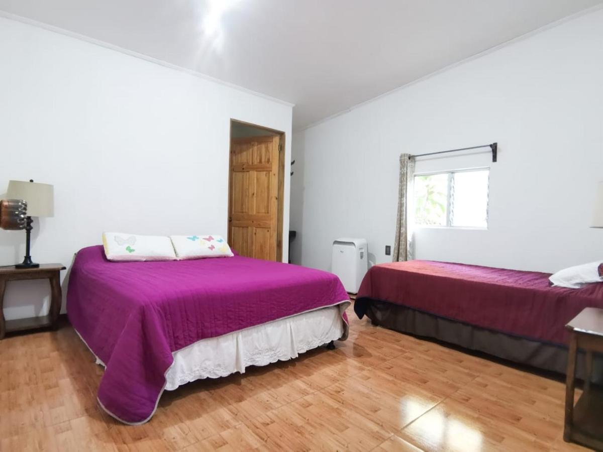 Casita Happy Feet And Tours Corcovado Hotell Drakes Bay Eksteriør bilde